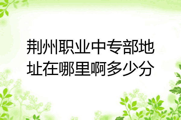 荆州职业中专部地址在哪里啊多少分