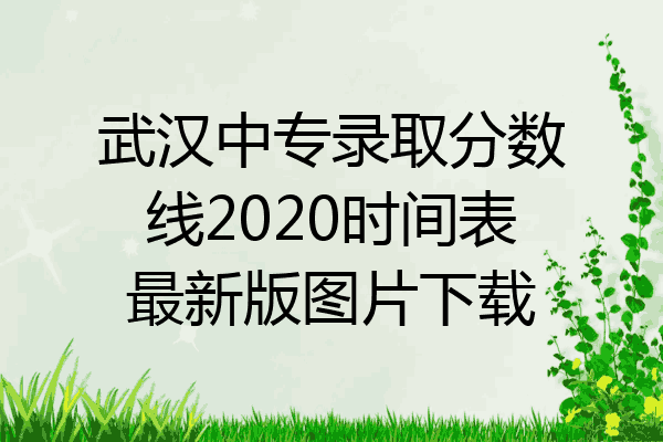 武汉中专录取分数线2020时间表最新版图片下载