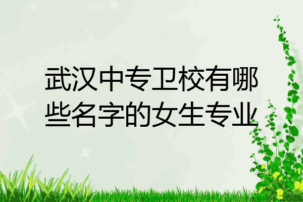 武汉中专卫校有哪些名字的女生专业