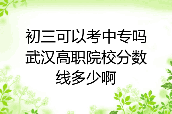 初三可以考中专吗武汉高职院校分数线多少啊