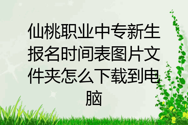 仙桃职业中专新生报名时间表图片文件夹怎么下载到电脑