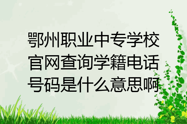鄂州职业中专学校官网查询学籍电话号码是什么意思啊