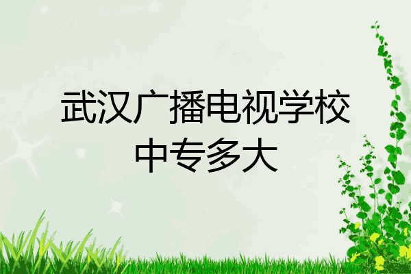 武汉广播电视学校中专多大