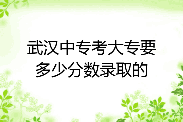 武汉中专考大专要多少分数录取的