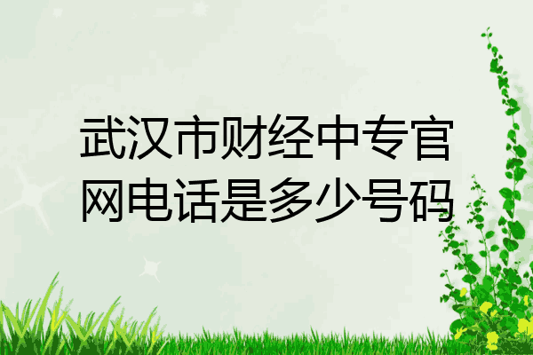 武汉市财经中专官网电话是多少号码