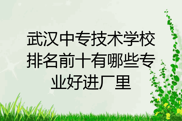 武汉中专技术学校排名前十有哪些专业好进厂里