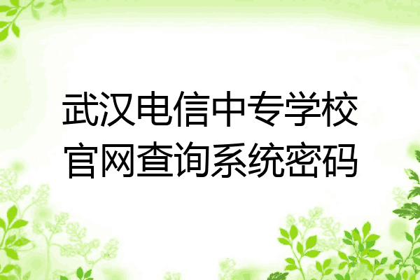 武汉电信中专学校官网查询系统密码