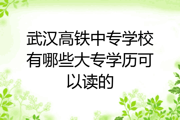武汉高铁中专学校有哪些大专学历可以读的