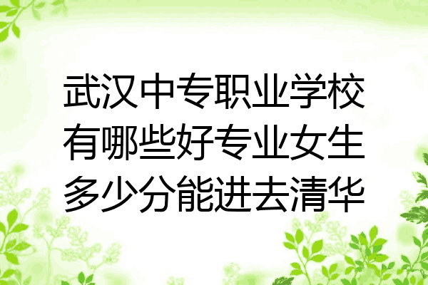 武汉中专职业学校有哪些好专业女生多少分能进去清华