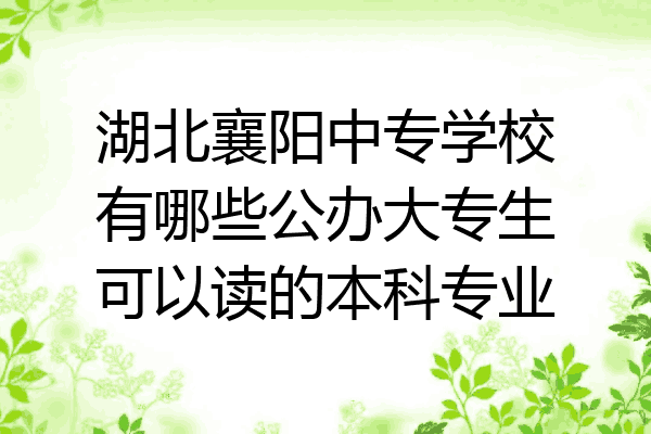 湖北襄阳中专学校有哪些公办大专生可以读的本科专业