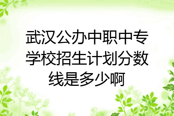 武汉公办中职中专学校招生计划分数线是多少啊