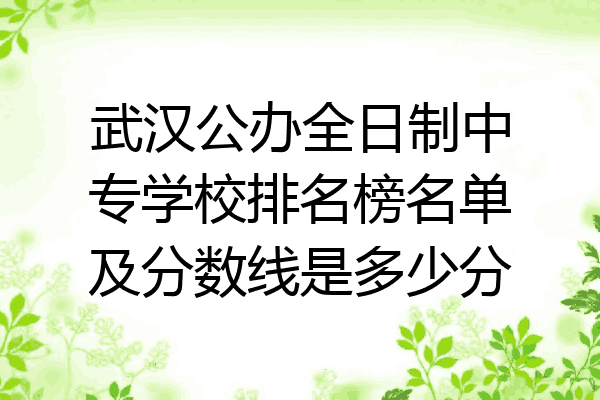 武汉公办全日制中专学校排名榜名单及分数线是多少分