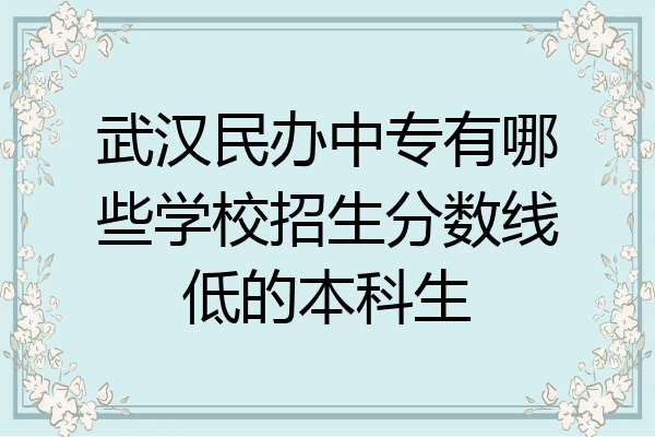 武汉民办中专有哪些学校招生分数线低的本科生