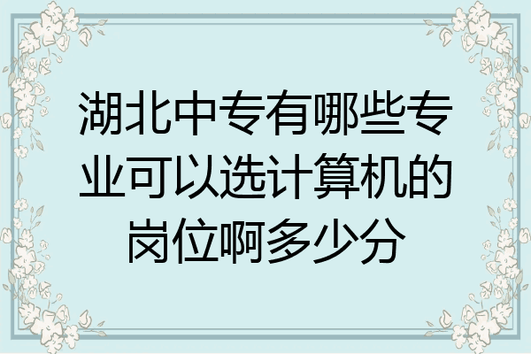 湖北中专有哪些专业可以选计算机的岗位啊多少分