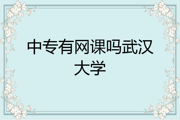 中专有网课吗武汉大学