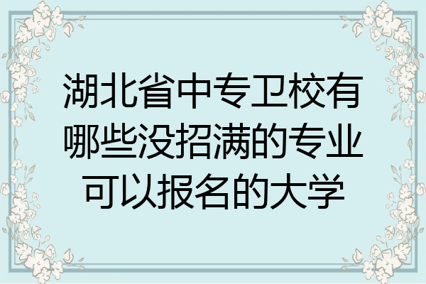 湖北省中专卫校有哪些没招满的专业可以报名的大学