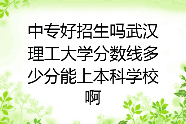 中专好招生吗武汉理工大学分数线多少分能上本科学校啊