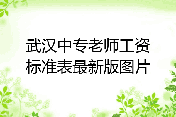 武汉中专老师工资标准表最新版图片