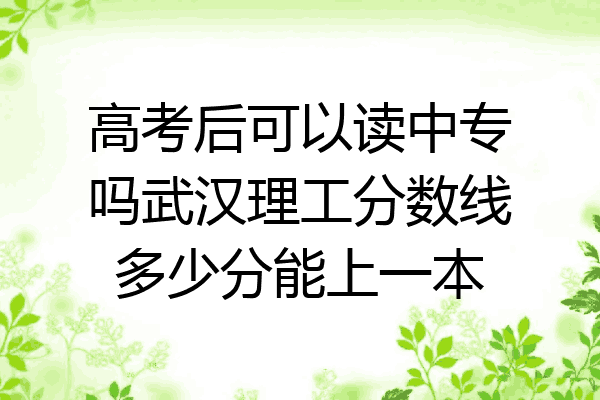 高考后可以读中专吗武汉理工分数线多少分能上一本