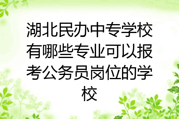 湖北民办中专学校有哪些专业可以报考公务员岗位的学校