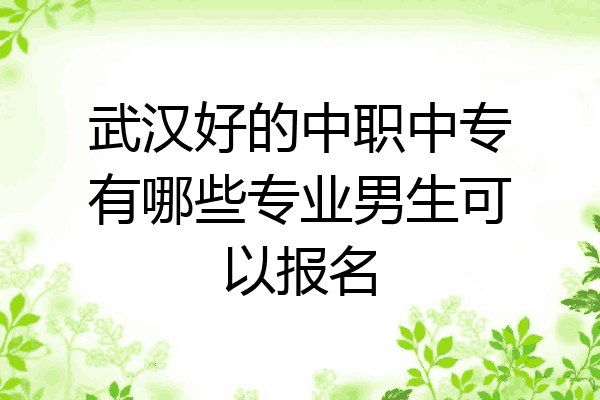 武汉好的中职中专有哪些专业男生可以报名