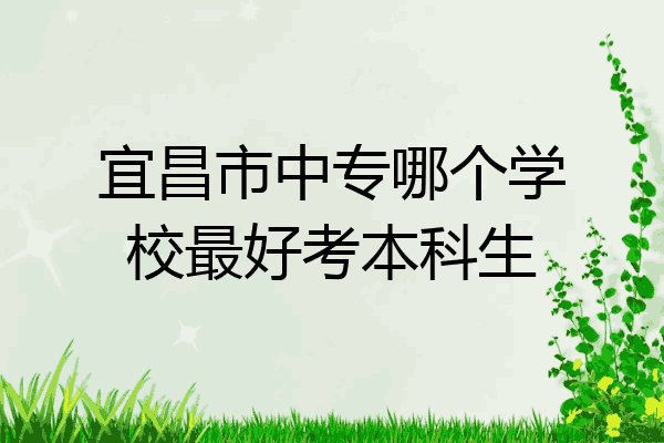 宜昌市中专哪个学校最好考本科生