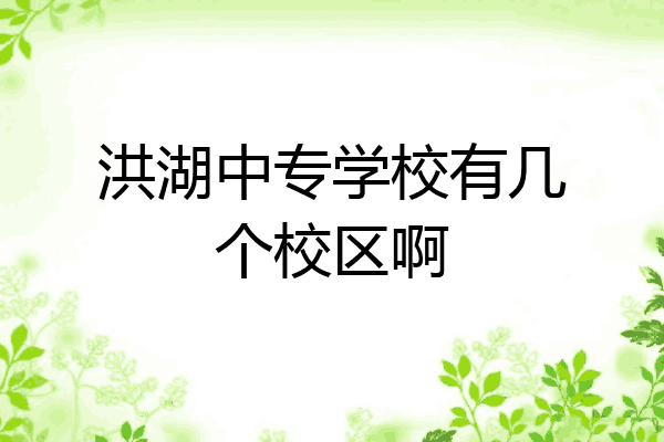 洪湖中专学校有几个校区啊