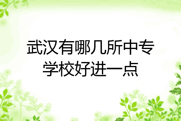 武汉有哪几所中专学校好进一点