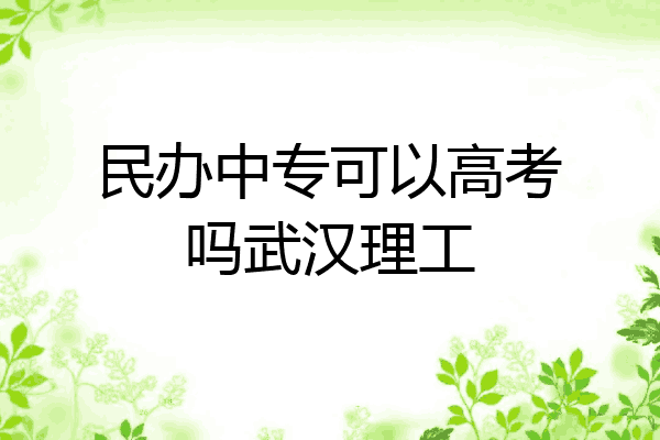 民办中专可以高考吗武汉理工