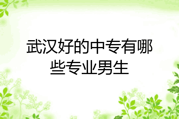 武汉好的中专有哪些专业男生