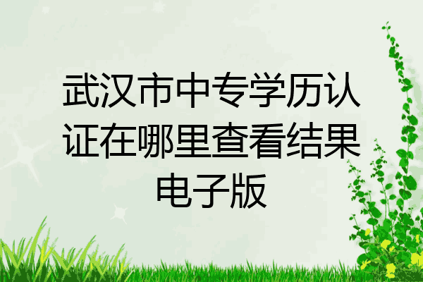 武汉市中专学历认证在哪里查看结果电子版