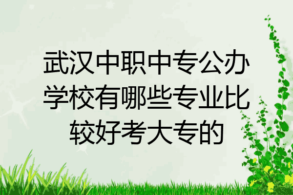 武汉中职中专公办学校有哪些专业比较好考大专的