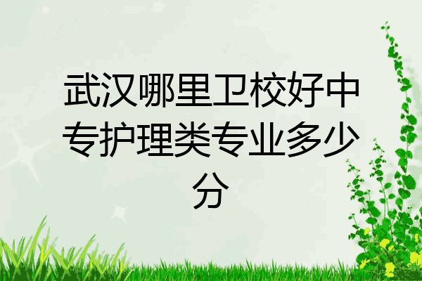 武汉哪里卫校好中专护理类专业多少分