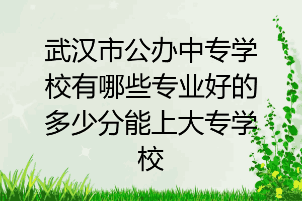 武汉市公办中专学校有哪些专业好的多少分能上大专学校