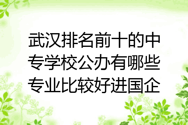 武汉排名前十的中专学校公办有哪些专业比较好进国企