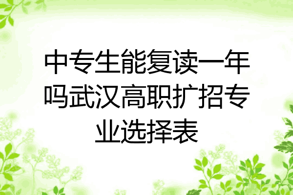 中专生能复读一年吗武汉高职扩招专业选择表