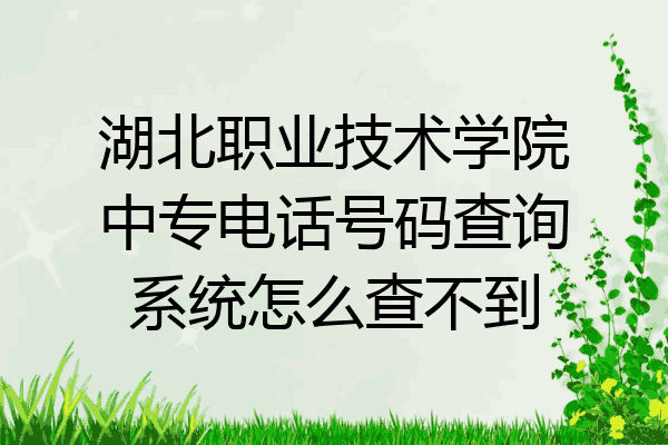 湖北职业技术学院中专电话号码查询系统怎么查不到