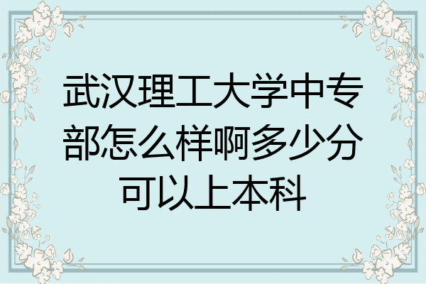 武汉理工大学中专部怎么样啊多少分可以上本科