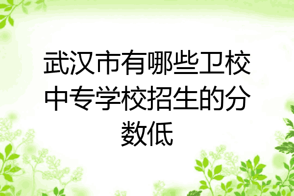 武汉市有哪些卫校中专学校招生的分数低