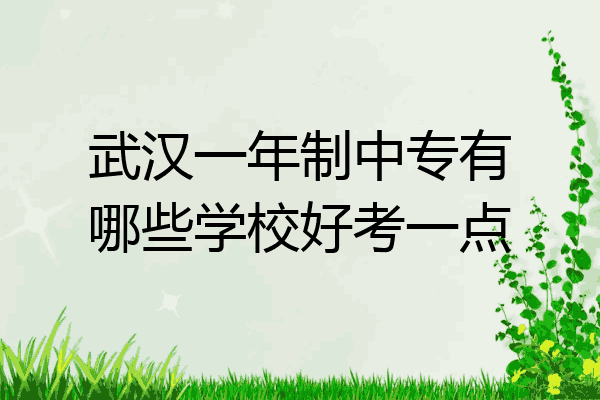武汉一年制中专有哪些学校好考一点