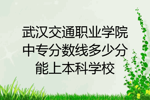 武汉交通职业学院中专分数线多少分能上本科学校