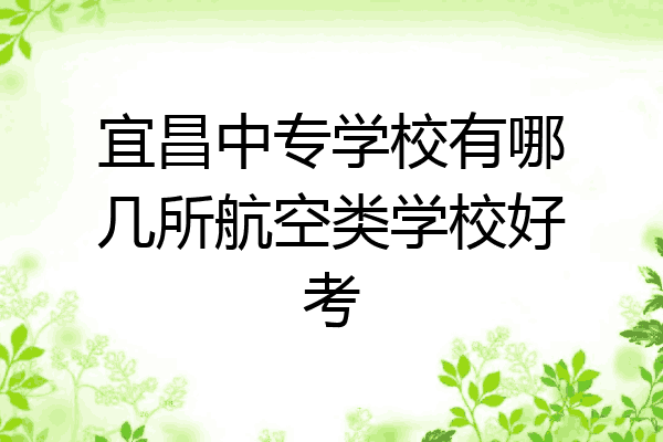 宜昌中专学校有哪几所航空类学校好考