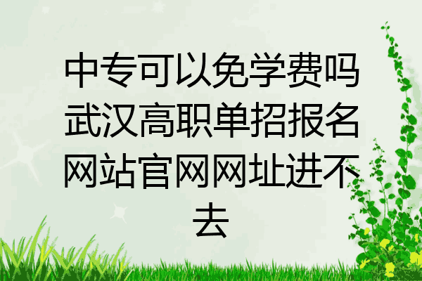 中专可以免学费吗武汉高职单招报名网站官网网址进不去