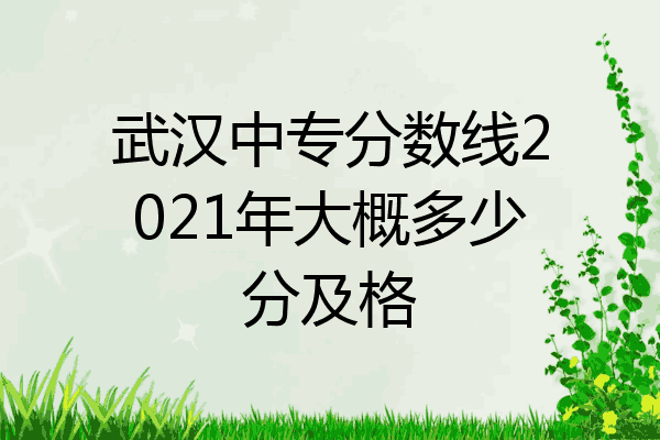 武汉中专分数线2021年大概多少分及格
