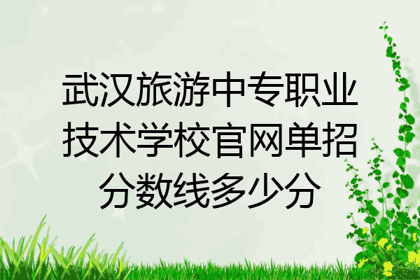武汉旅游中专职业技术学校官网单招分数线多少分