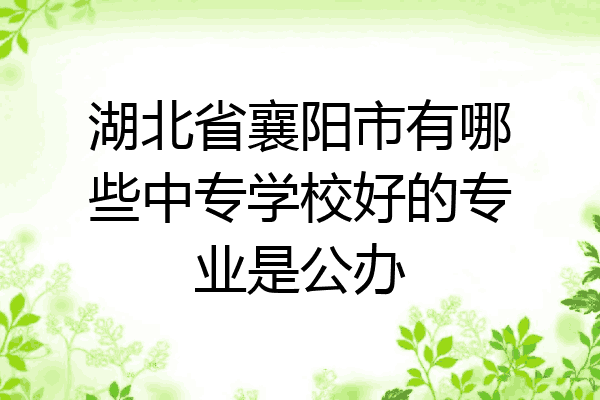 湖北省襄阳市有哪些中专学校好的专业是公办