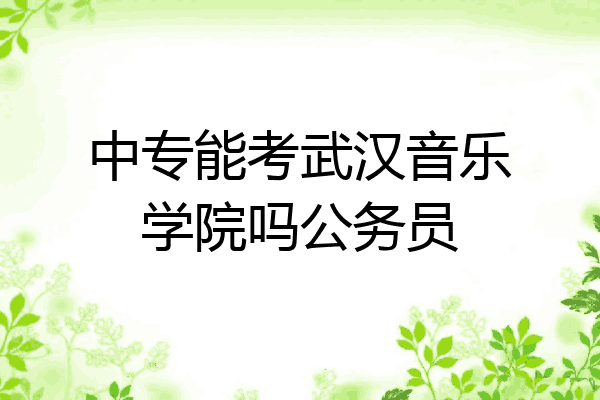 中专能考武汉音乐学院吗公务员
