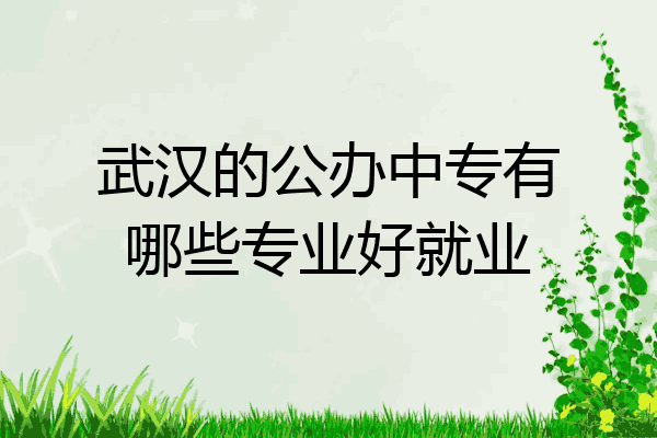武汉的公办中专有哪些专业好就业