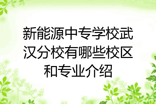 新能源中专学校武汉分校有哪些校区和专业介绍