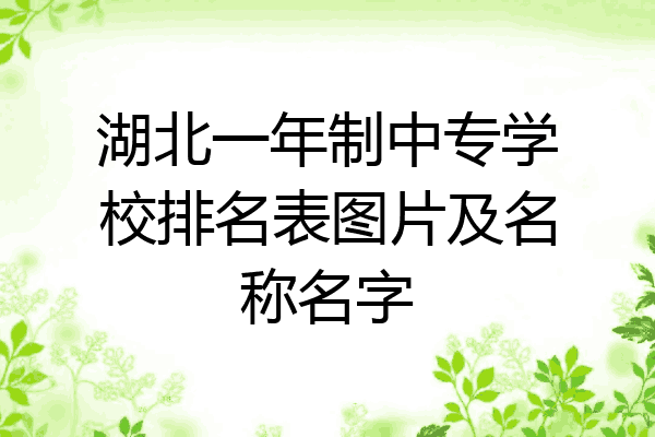 湖北一年制中专学校排名表图片及名称名字
